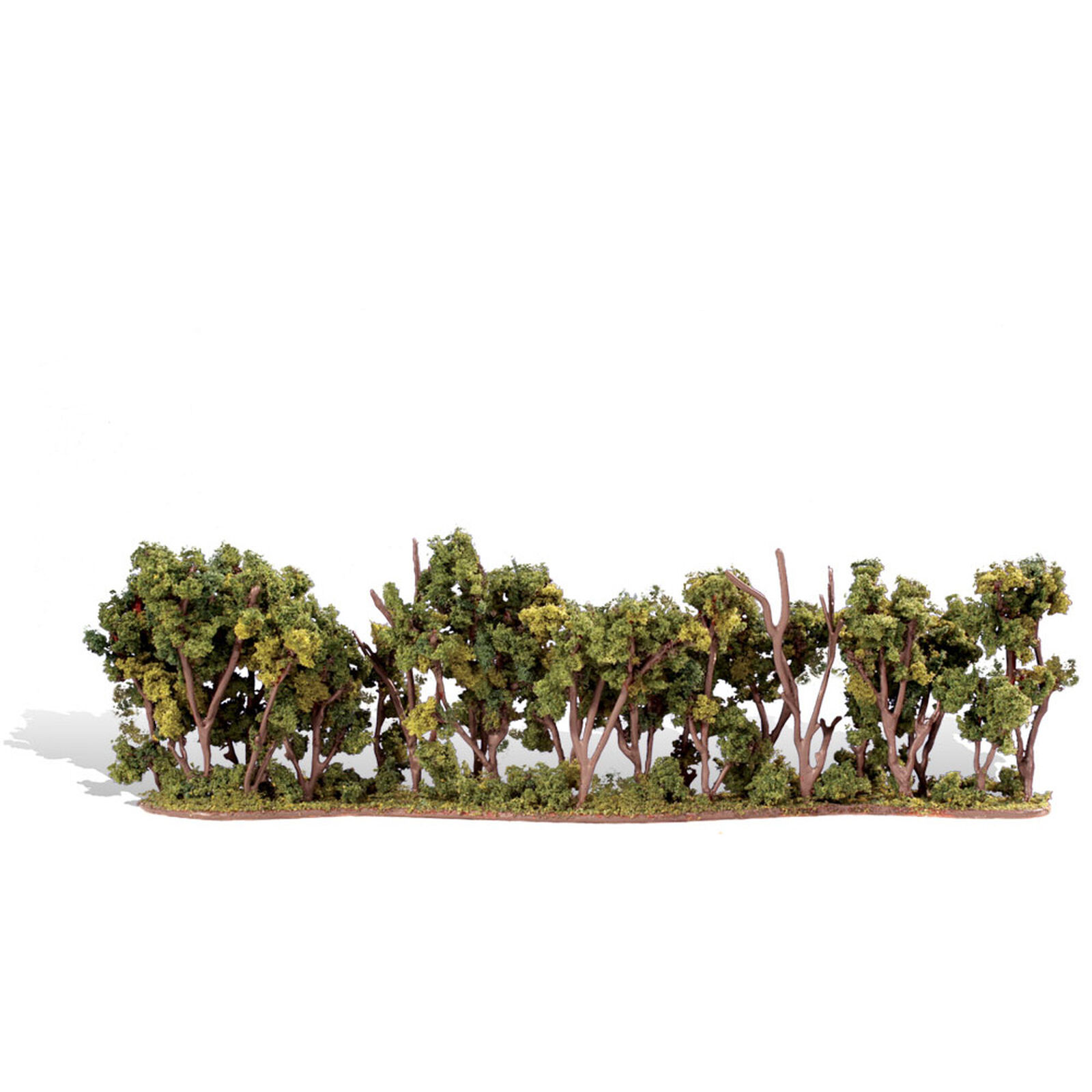 Classics Tree, Hedge Row 1-4" (1)