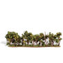 Classics Tree, Hedge Row 1-4" (1)