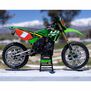 1/4 Promoto-MX Pro Circuit 2S RTR Brushless Motorcycle (Battery and Charger Included), Green