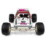 1/10 RC10GT 2WD Nitro Team Truck Kit