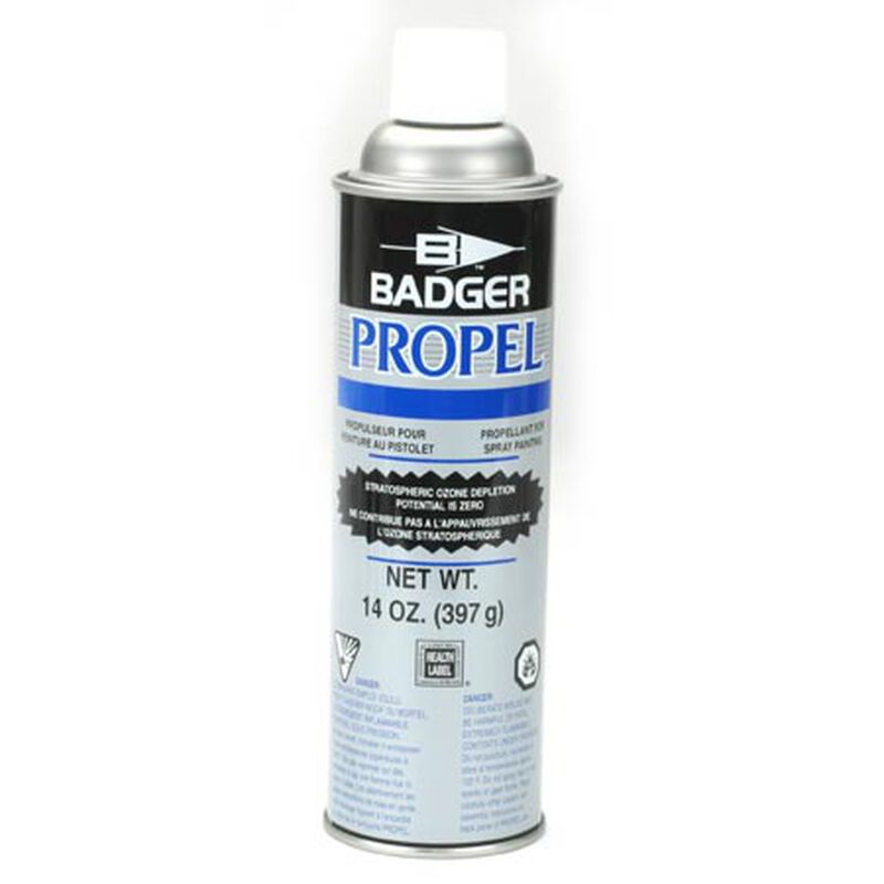 13 oz Propel Can