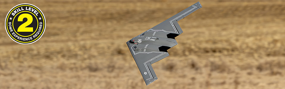 Skill Level 2 for the E-flite Micro B-2 Spirit of America Twin RC Airplane